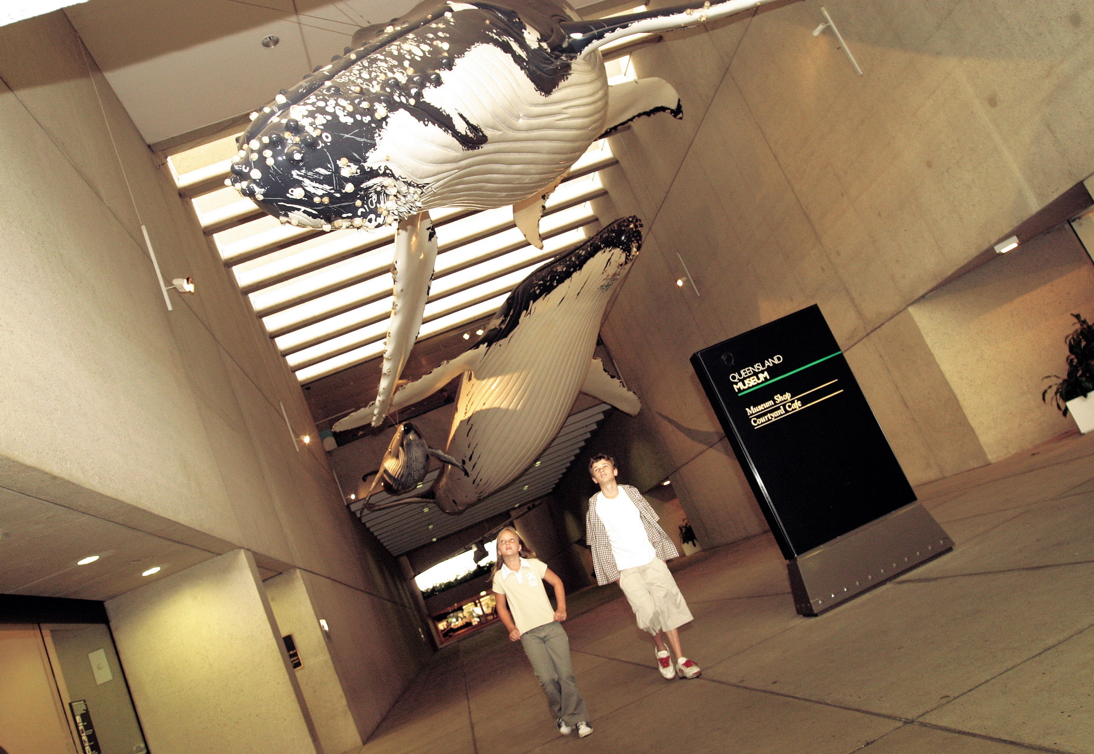 Queensland Museum, Brisbane
