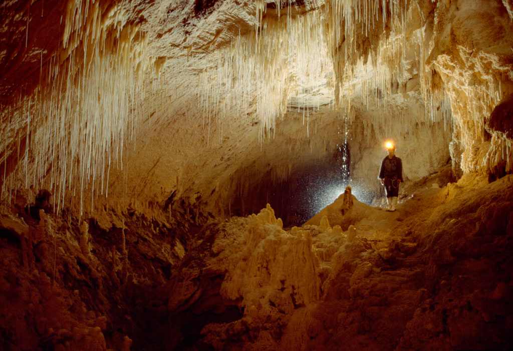 Waitomo caves, new zealand
