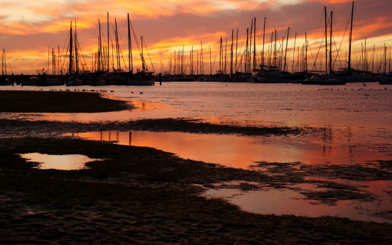 Silhouettes of sailboats at Hampton Beach, Bayside Victoria