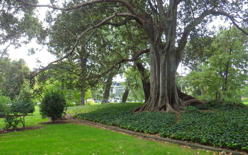 Carlton Gardens, Melbourne