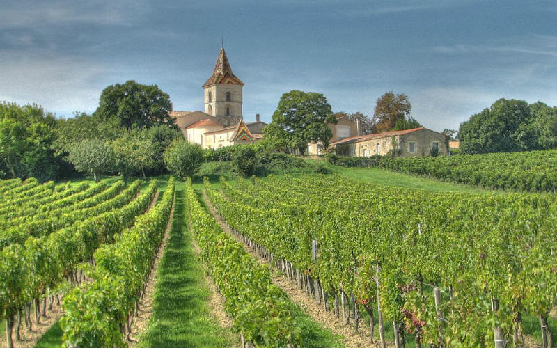 The Bordeaux wine region, France