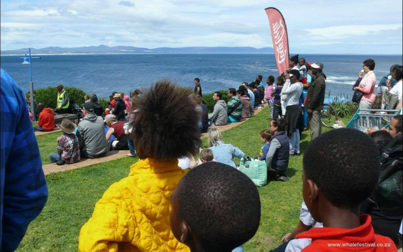 The Hermanus Whale Festival, South Africa