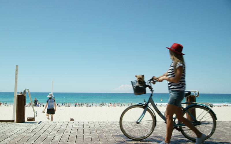 Bike riding along a beachside path