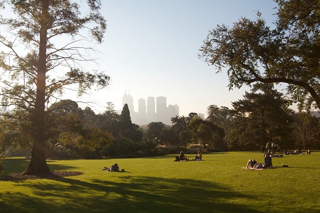 View-Melbourne-Royal-Botanic-Gardens-Free-Things-To-Do