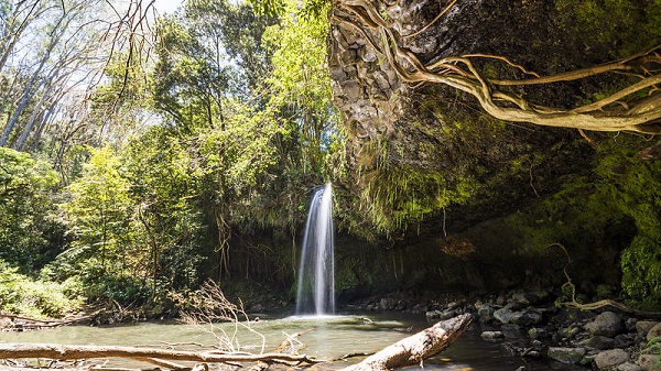 Twin-Falls-Waterfalls-Maui-Hawaii