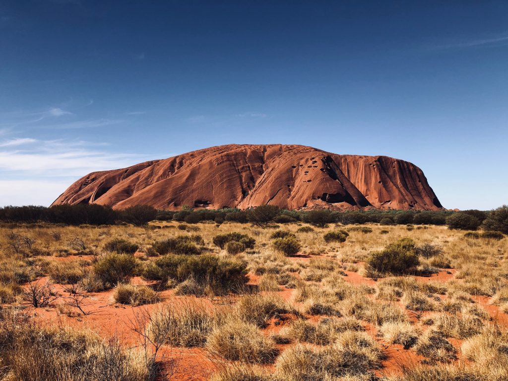 are dogs allowed in australian national parks