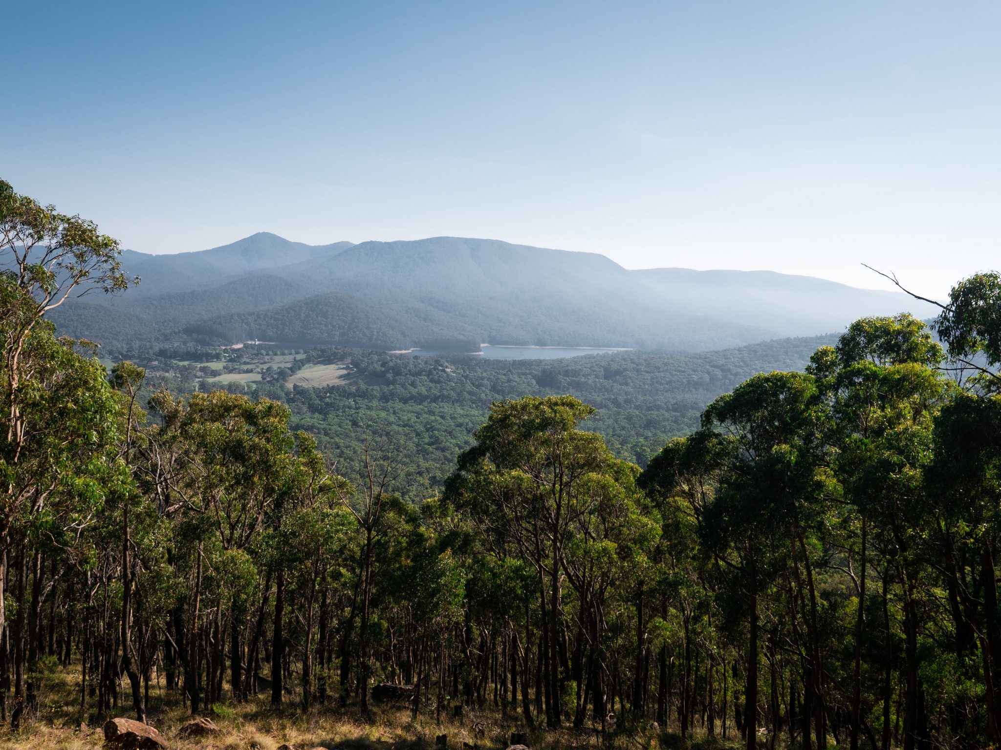 Expert Guide to Yarra Ranges National Park | What to Do and See | Webjet