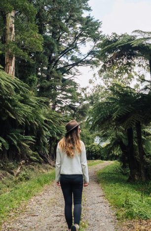 Local’s Guide to Hiking in the Yarra Ranges National Park