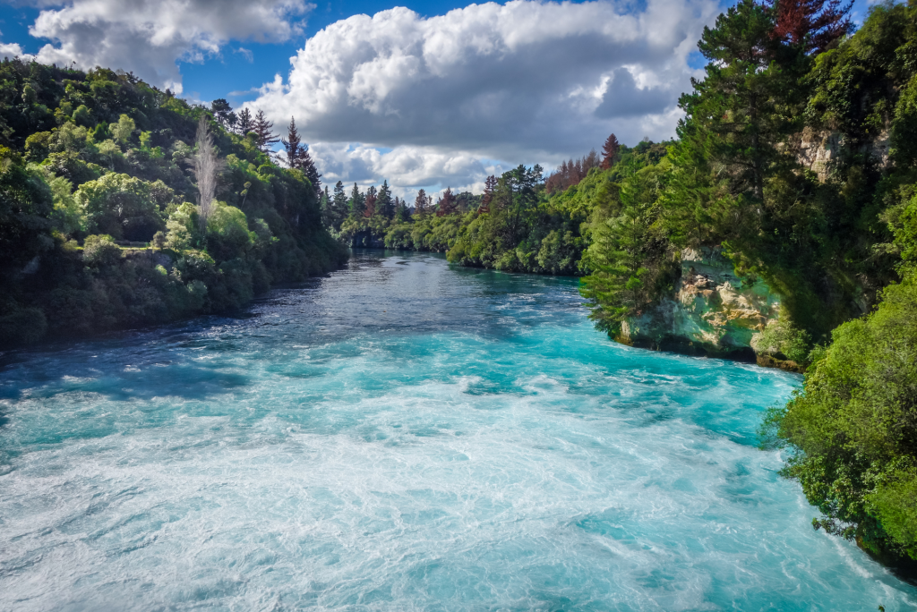 The bluest stream of water amongst a rainforest in New Zealand.
